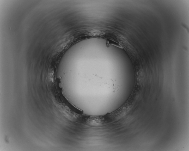 X0000099460368200805231812