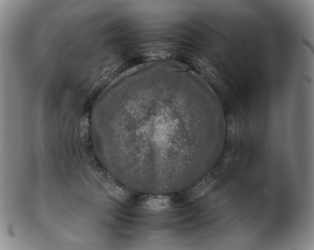 X0000099460369200805231812