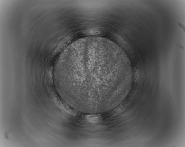 X0000099460373200805231812