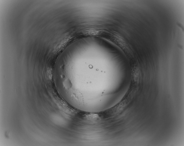 X0000099460374200805231812