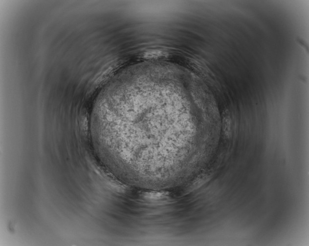 X0000099460375200805231812