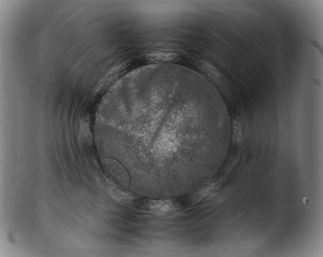 X0000099460377200805231812