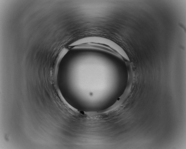 X0000099460378200805231812