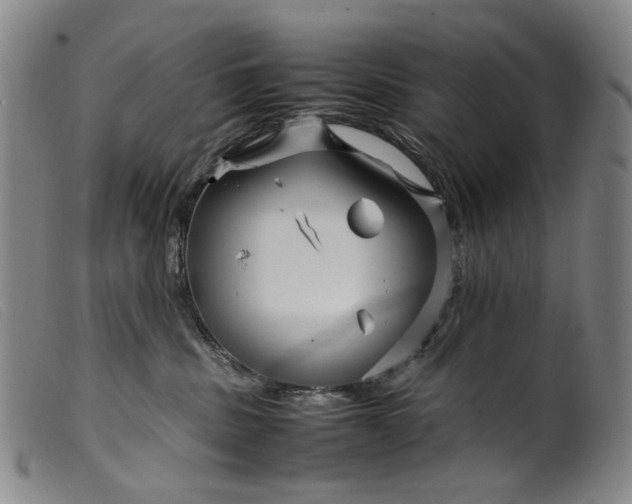 X0000099460379200805231812