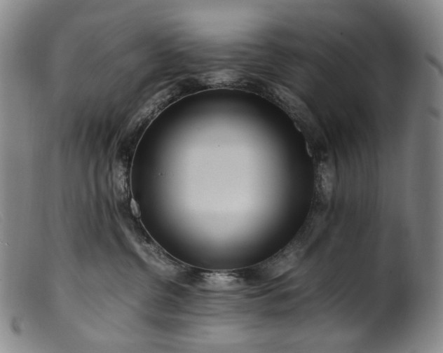 X0000099460380200805231812