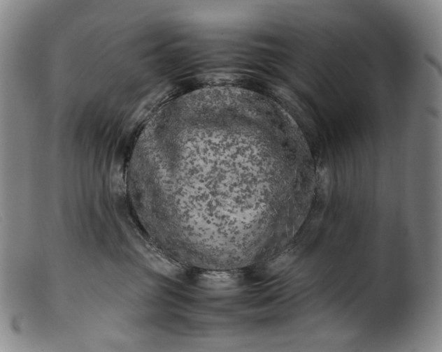 X0000099460381200805231812