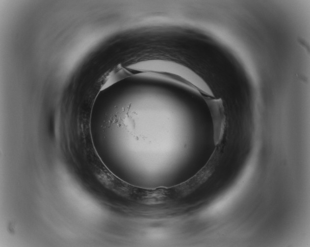 X0000099460382200805231812