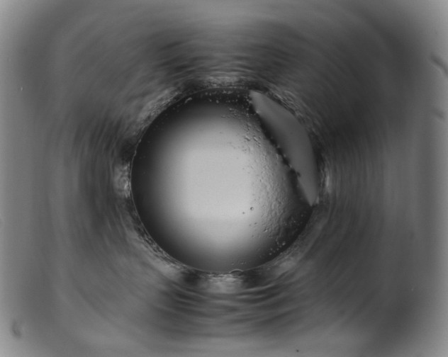 X0000099460383200805231812