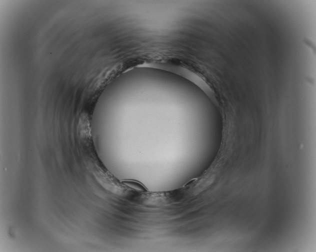 X0000099460384200805231812