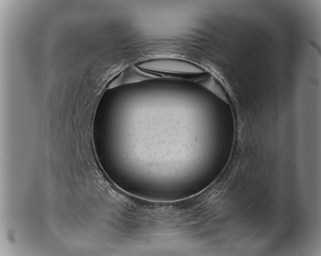 X0000099460385200805231811