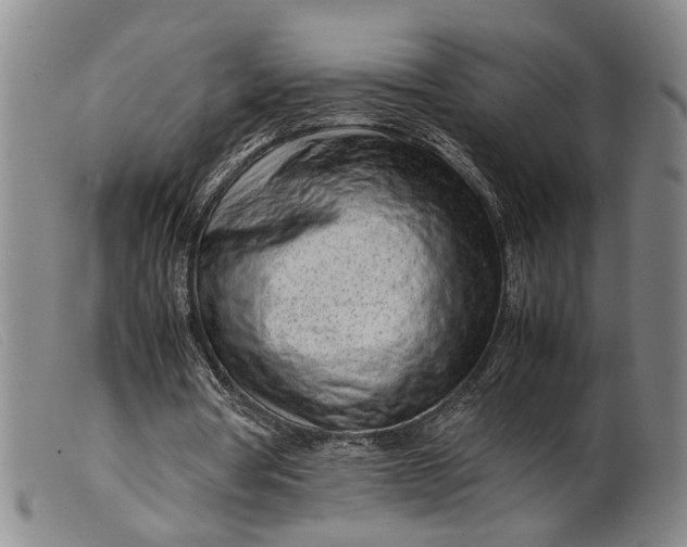 X0000099460386200805231811