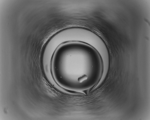 X0000099460387200805231811