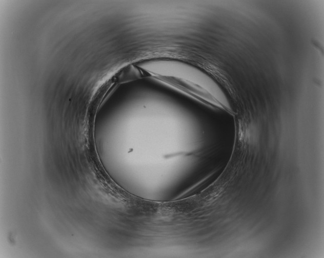 X0000099460388200805231811