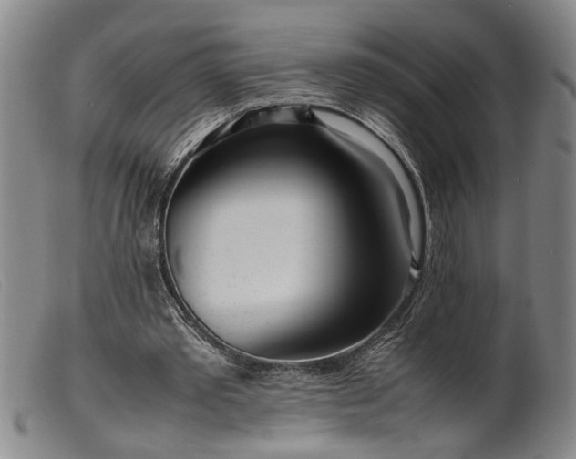 X0000099460389200805231811