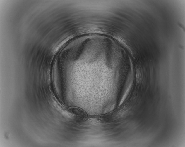 X0000099460390200805231811