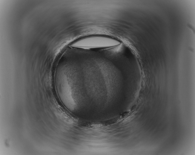 X0000099460391200805231811