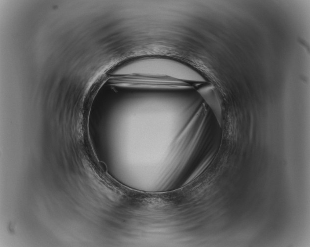 X0000099460392200805231811