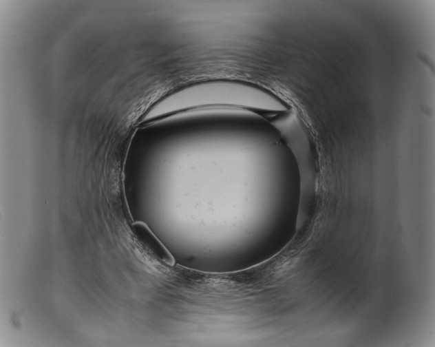 X0000099460393200805231811