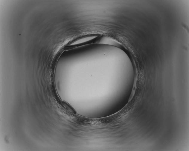 X0000099460395200805231811