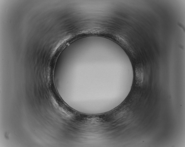 X0000099460396200805231811