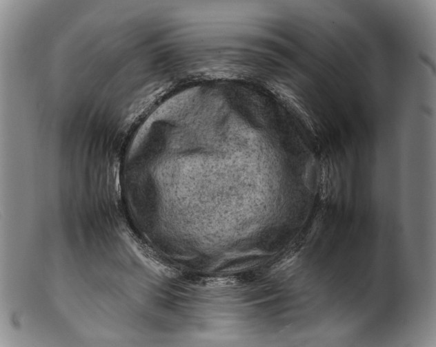 X0000099460398200805231811