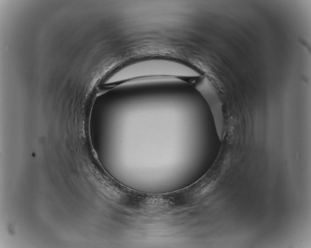 X0000099460399200805231811