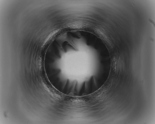 X0000099460400200805231811