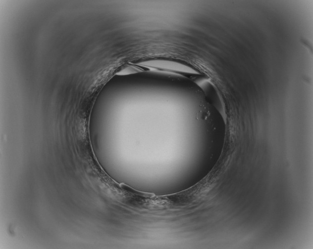 X0000099460401200805231811