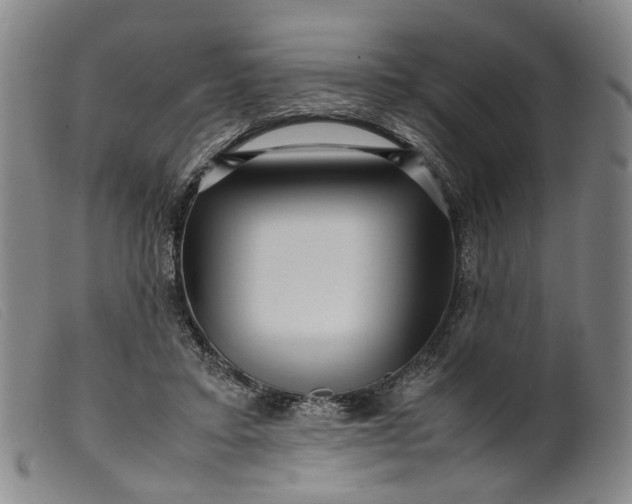 X0000099460403200805231811