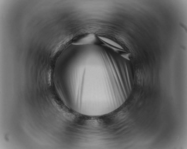 X0000099460404200805231811