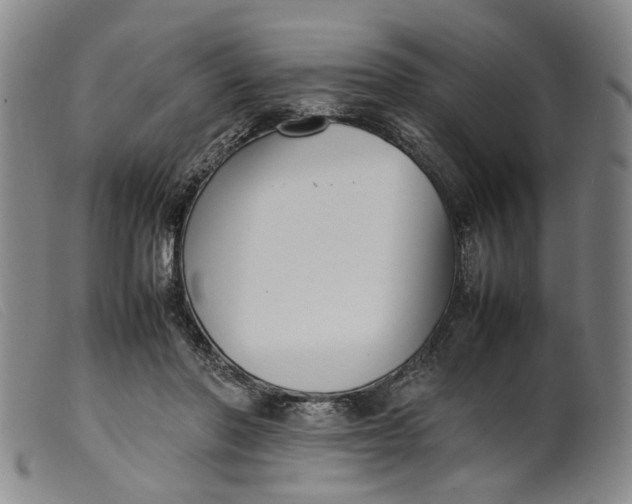 X0000099460406200805231811