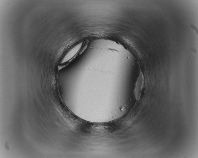 X0000099460407200805231811