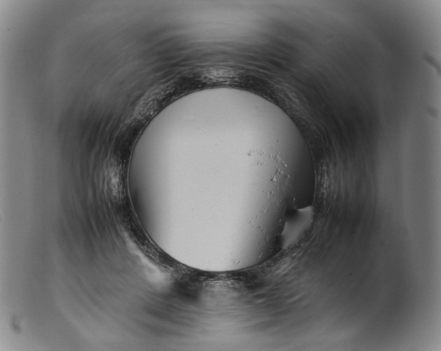 X0000099460408200805231811