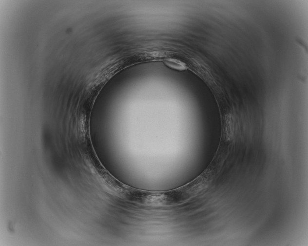 X0000099460410200805231811