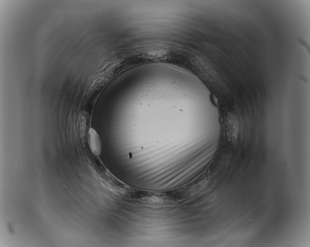 X0000099460412200805231811