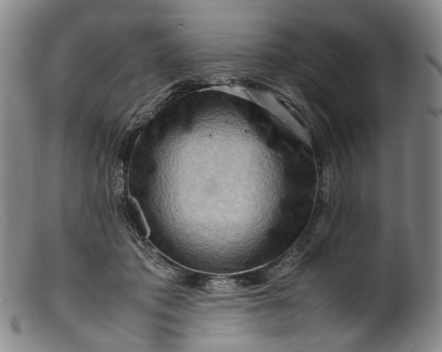 X0000099460413200805231811