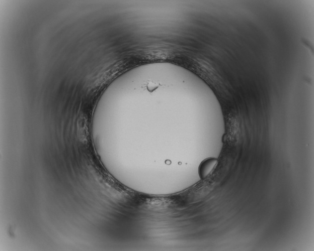 X0000099460414200805231811