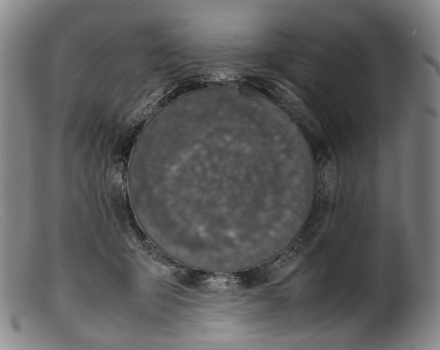 X0000099460415200805231811