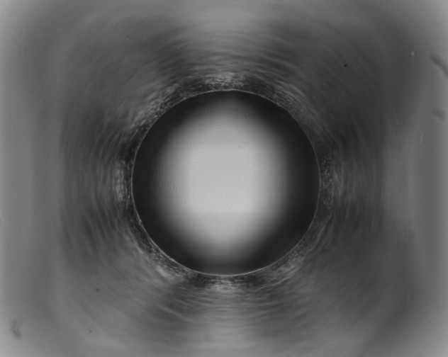 X0000099460416200805231811