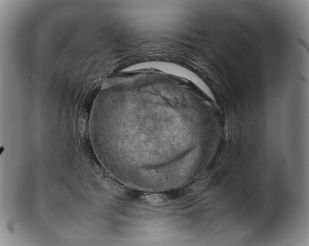 X0000099460417200805231811