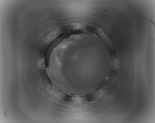 X0000099460419200805231811