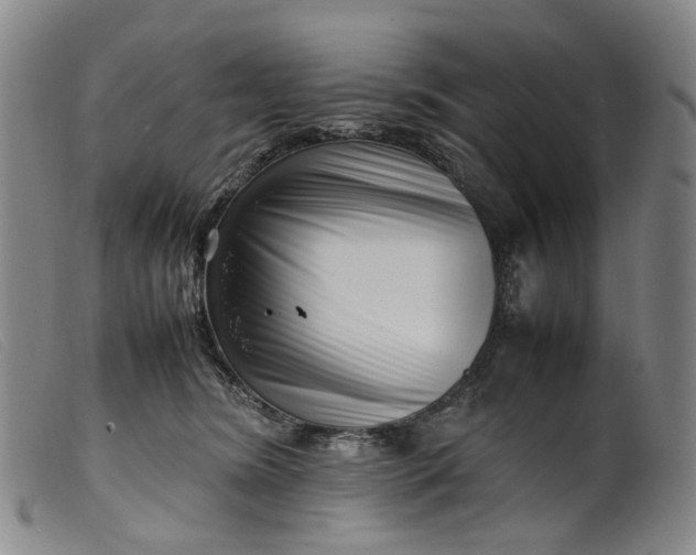 X0000099460420200805231811