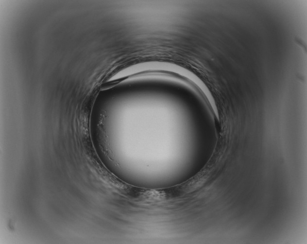 X0000099460421200805231811