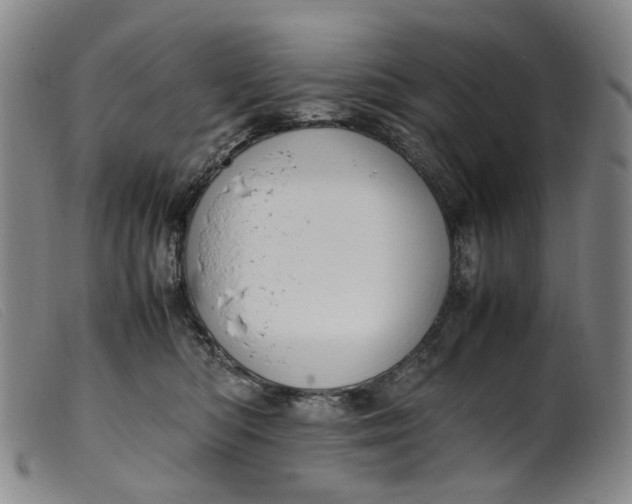 X0000099460422200805231811