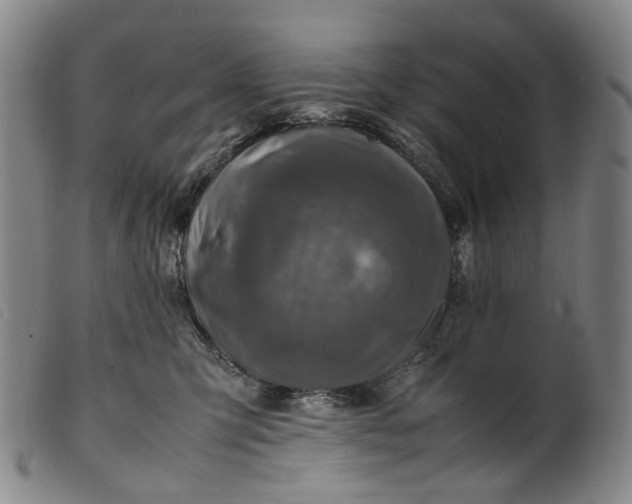 X0000099460423200805231811