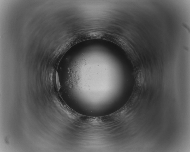 X0000099460424200805231811