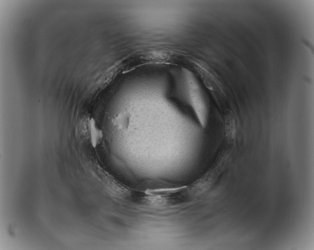 X0000099460425200805231811