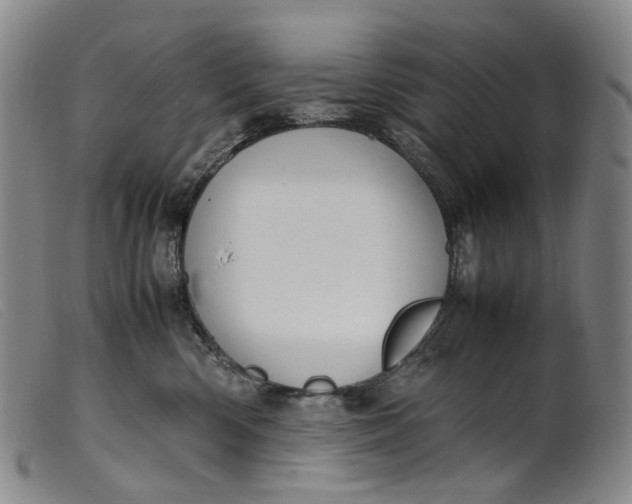 X0000099460426200805231811