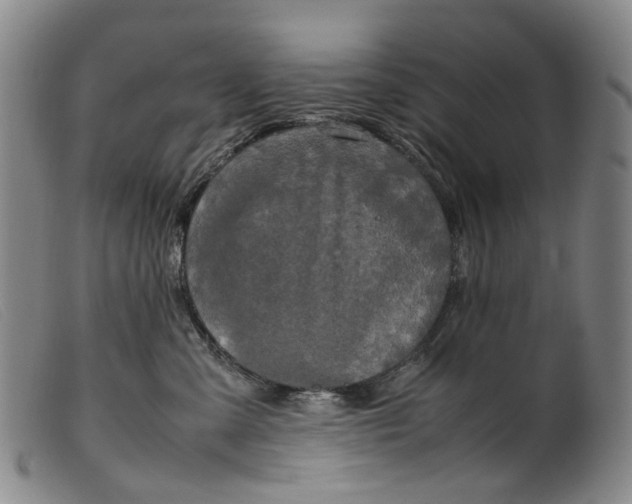 X0000099460427200805231811