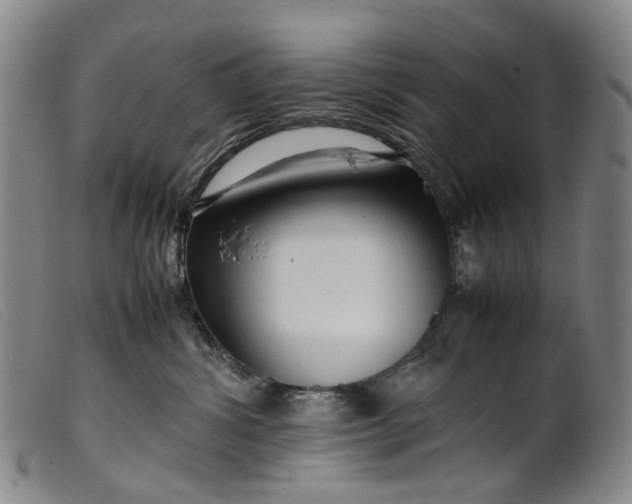 X0000099460428200805231811